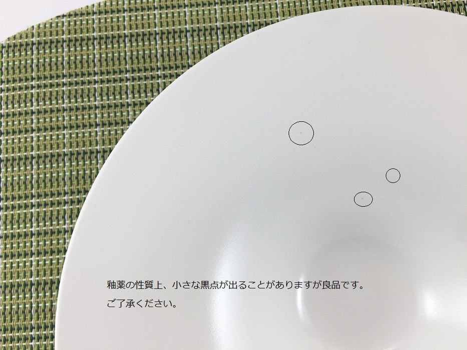 20cmリムレングスボウル　ミスト　有田焼(j.R)