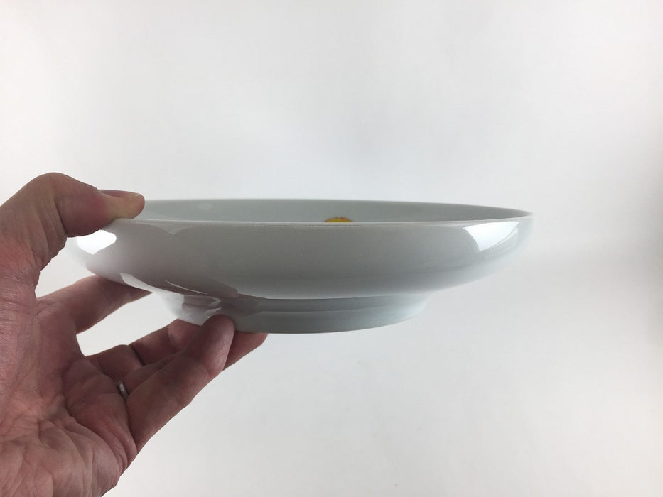 【SALE】245アール皿(色丸紋)　25cm　波佐見焼【訳あり】