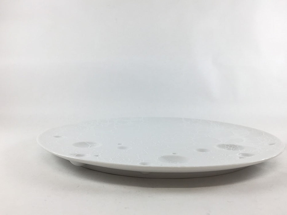 【SALE】惑星丸プレート23cm　泡　有田焼 【訳あり】
