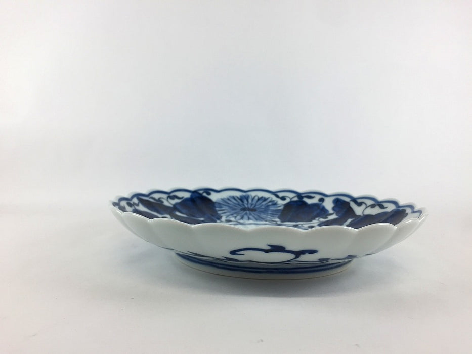 染付菊割草　6寸皿　18cm　伊万里焼(j.R)