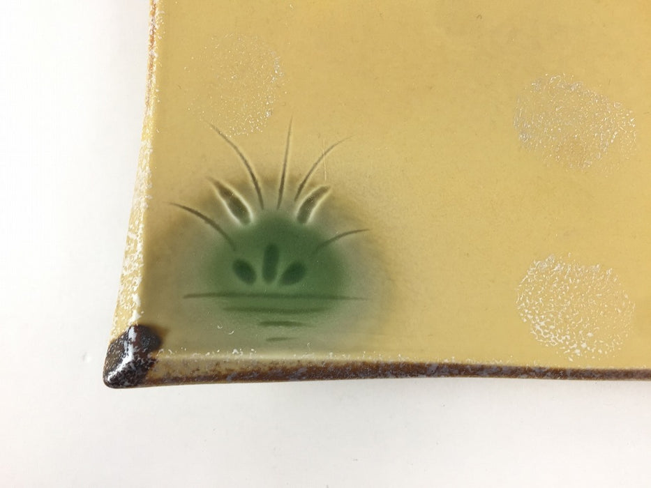 18cm長四方皿.イラホ花彫　有田焼(j.R)