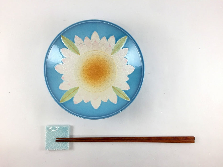 17cm反平鉢　青彩蓮花　有田焼(j.R)