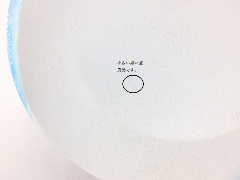 シャーレプレート(18.5cm)　志野泡　有田焼(j.R)