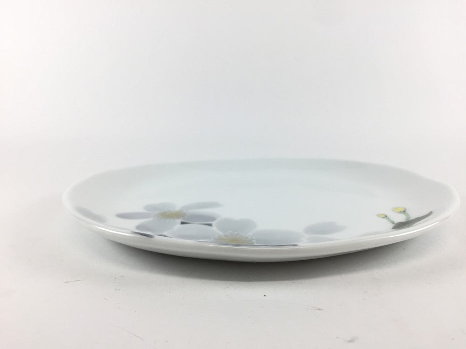 【SALE】19cm楕円皿　うすずみ桜　有田焼【訳あり】(j.R)