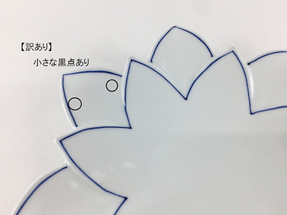 【SALE】呉須線紋　ロータスレイヤープレート(M)　20cm　有田焼【訳あり】