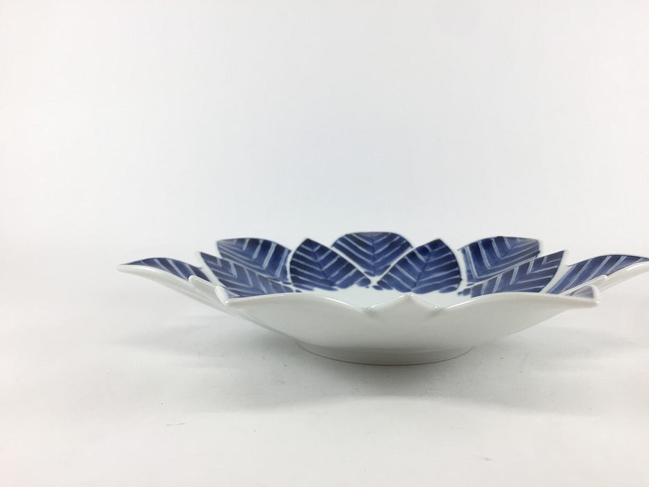 染付矢羽根文　ロータスレイヤープレート(M)　20cm　有田焼(j.R)