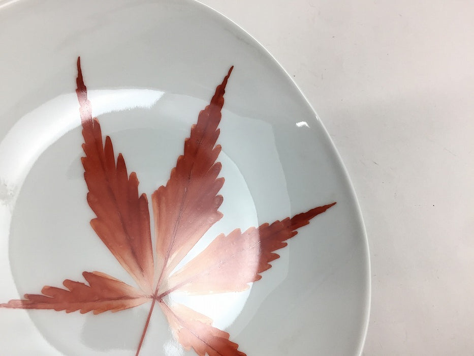 【SALE】大紅葉　17cm片口皿　有田焼【訳あり】