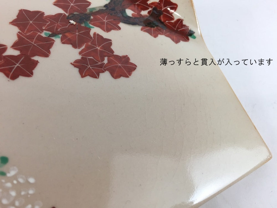 【SALE】185一方折板皿　(乾山写雲錦/古赤絵)　18.5cm　有田焼【訳あり】