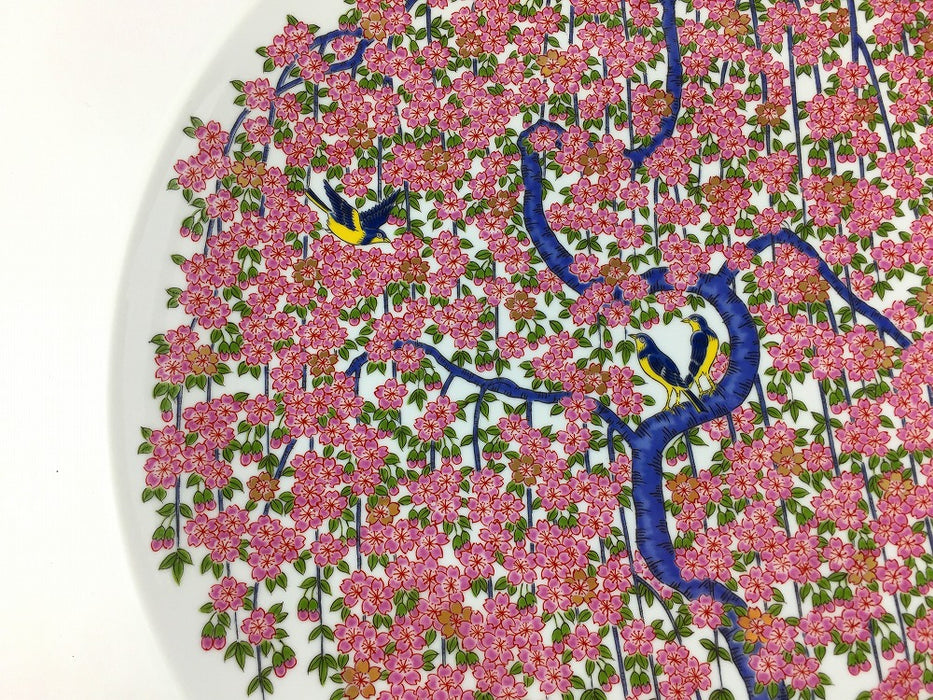 37cm大皿　満開桜　有田焼(j.R)