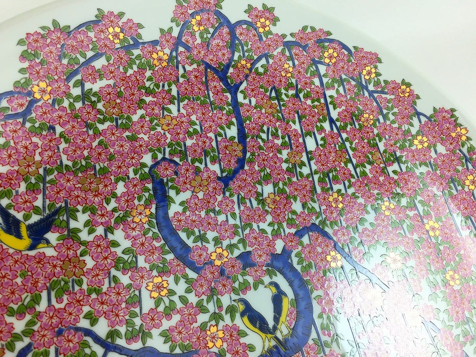 37cm大皿　満開桜　有田焼(j.R)