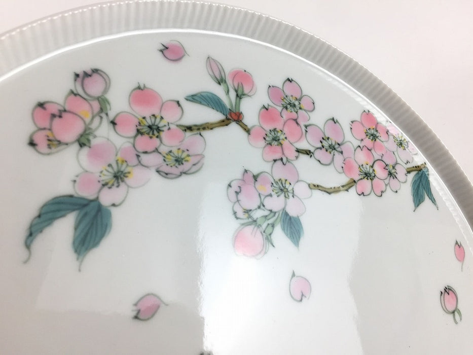 【SALE】240eplate　桜花紋(少なめ)　24cm 　有田焼【訳あり】