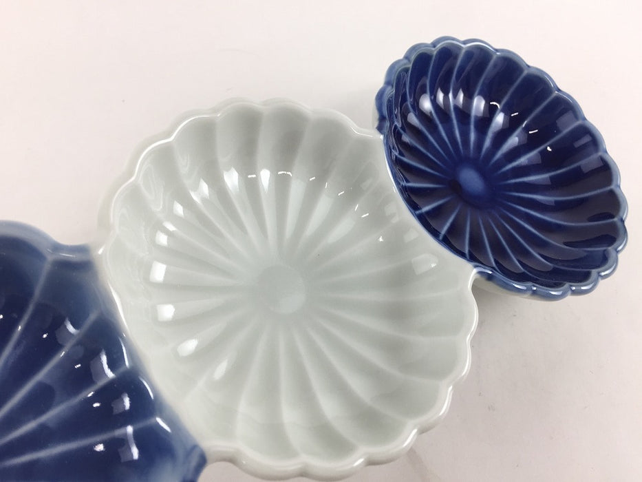 染濃淡　菊型三連皿(大)　25cm　有田焼(j.R)
