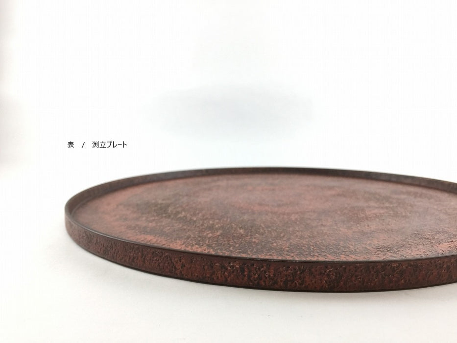 29cmリバーシブルプレート.朱彩　有田焼(j.R)【限定品】