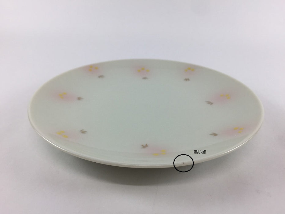 【SALE】蒸籠(セイロ)セット.蛍文様　15cm　有田焼(j.R)【訳あり】