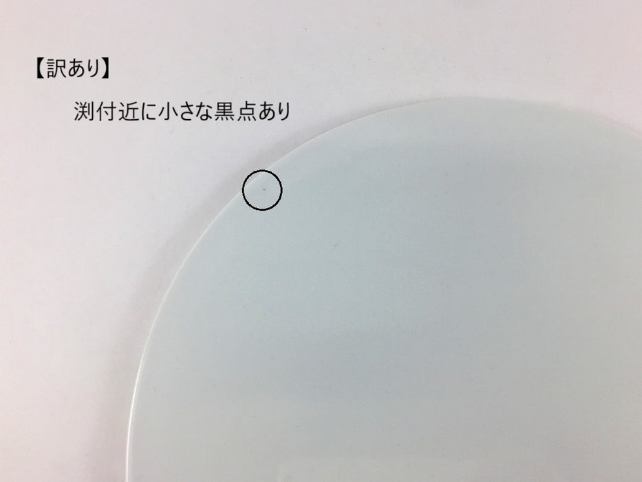 【SALE】フラットプレート　26cm　白磁　有田焼【訳あり】