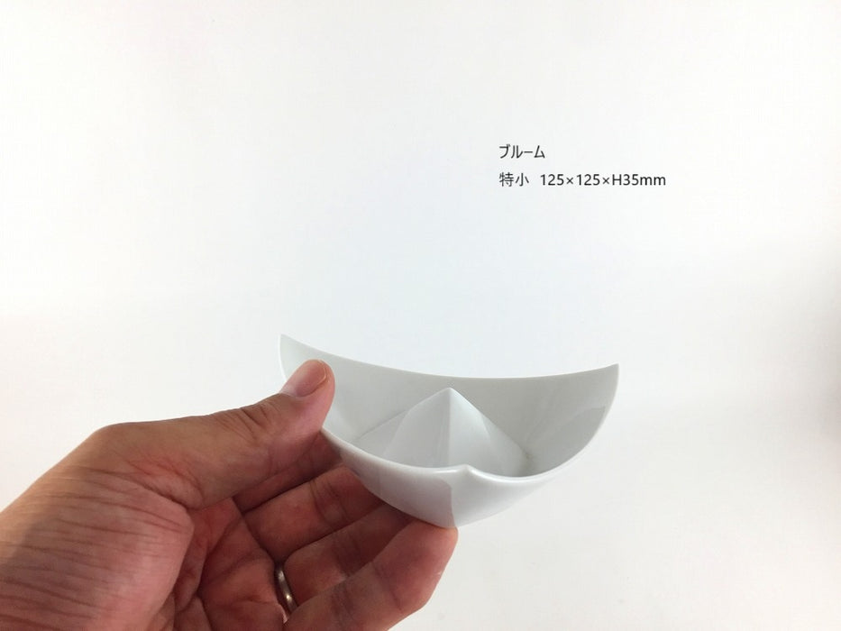 【SALE】ブルーム中　20cm　有田焼【訳あり】