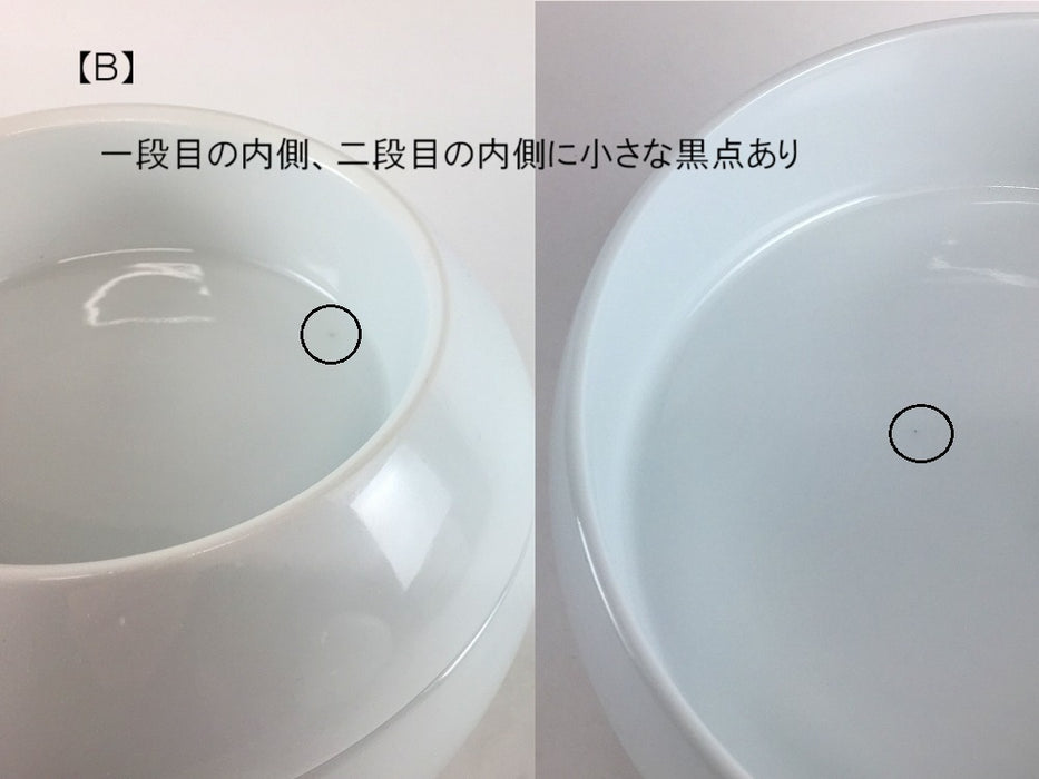 【SALE】玉重　白磁　(A/B)　有田焼【訳あり】