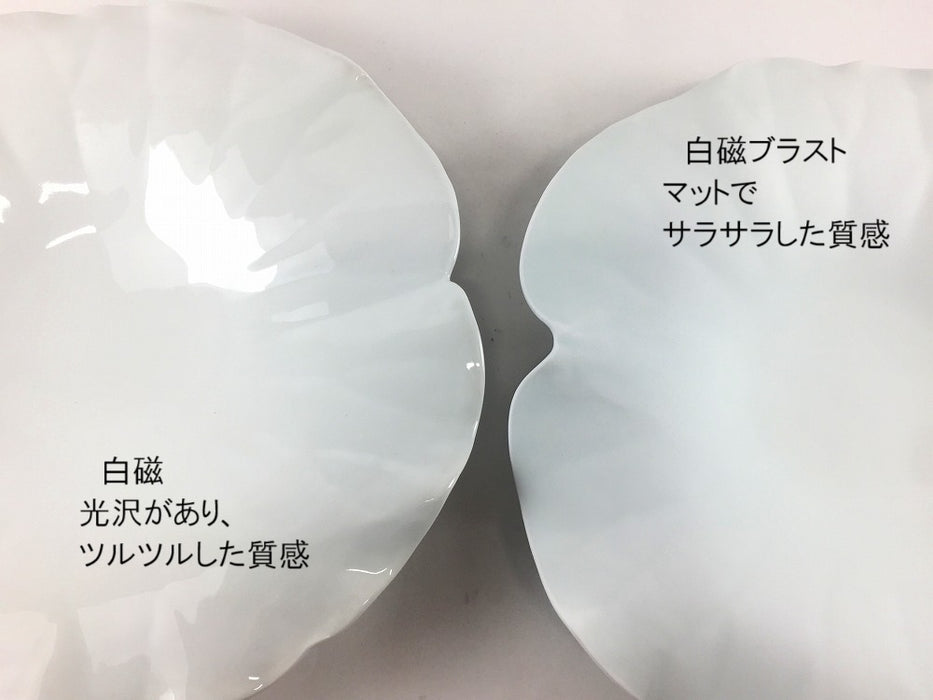 (強化)白磁ブラスト　ロータスプレート　25cm　有田焼(j.R)