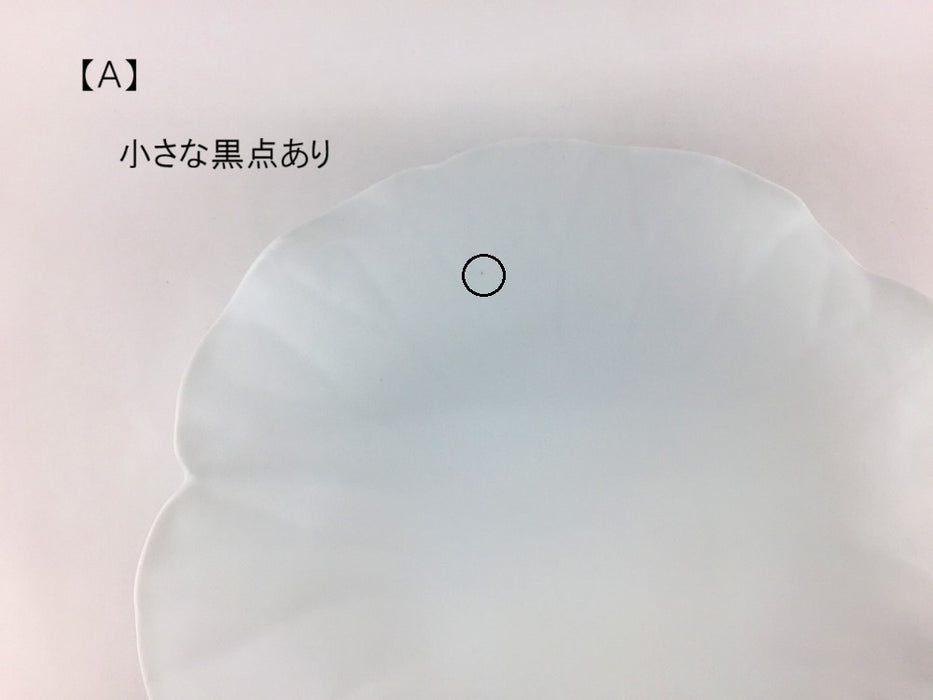 【SALE】(強化)白磁ブラスト　ロータスプレート(Ａ/Ｂ/Ｃ)　25cm　有田焼【訳あり】