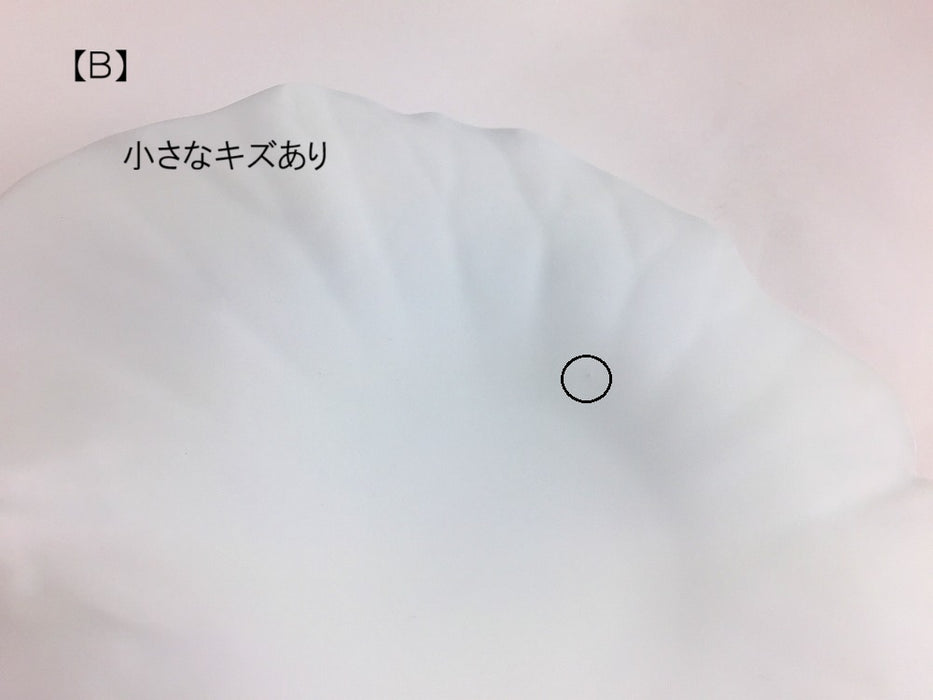 【SALE】(強化)白磁ブラスト　ロータスプレート(Ａ/Ｂ/Ｃ)　25cm　有田焼【訳あり】