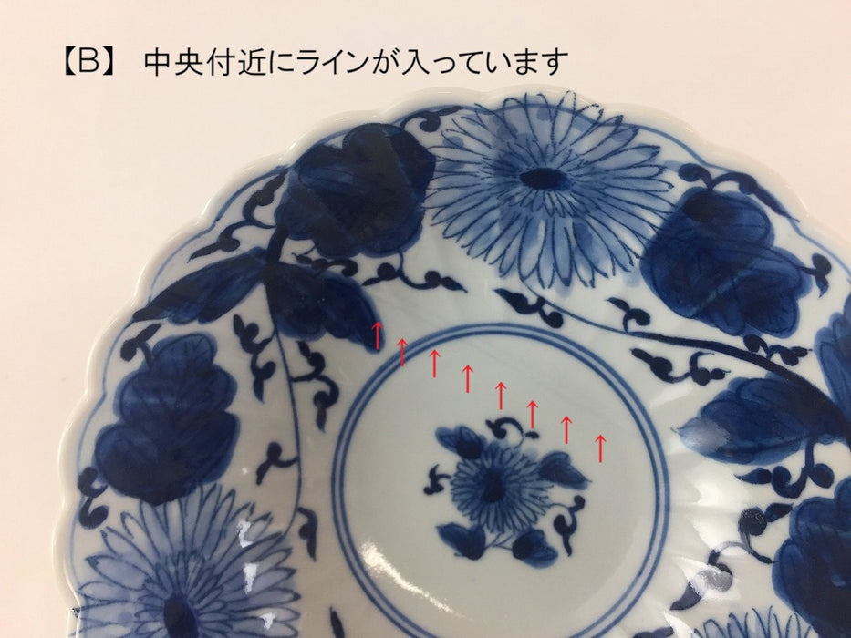 【SALE】染付菊割草　5寸ボール(A/B)　16cm　伊万里焼【訳あり】