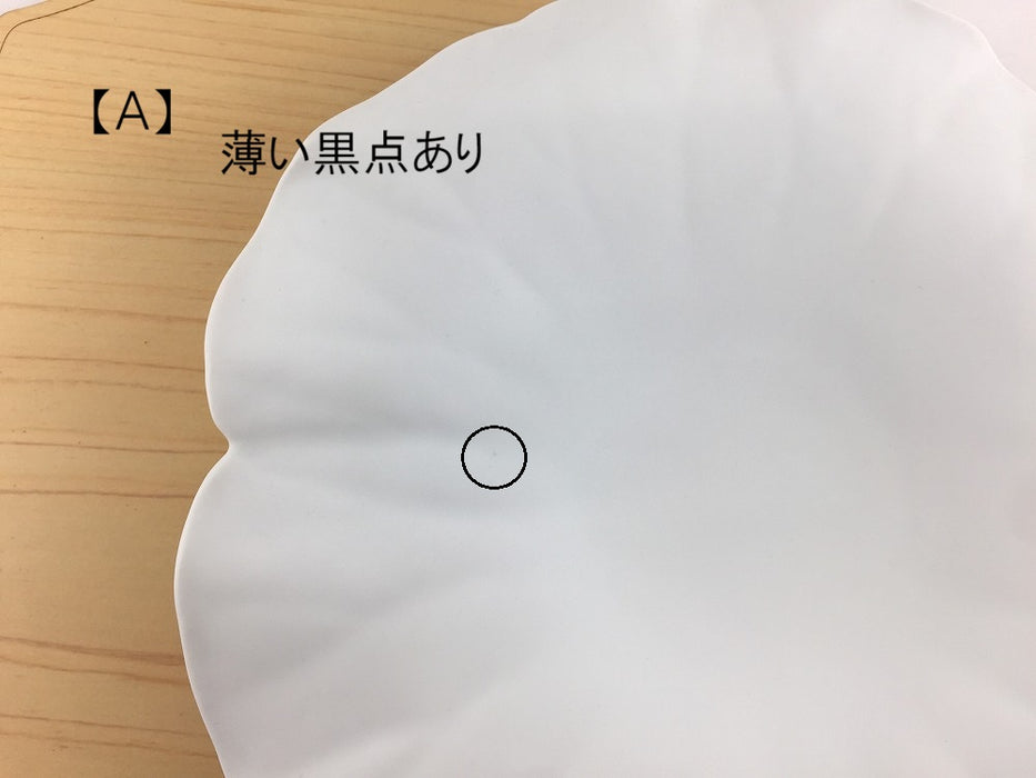 【SALE】(強化)白磁ブラスト　ロータスプレート(Ａ/Ｂ/Ｃ)　25cm　有田焼【訳あり】