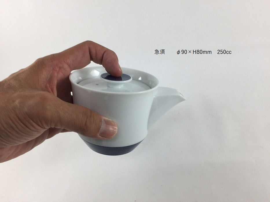 茶宝(急須/小煎茶/小ゆのみ).鉄紺　波佐見焼　白山陶器