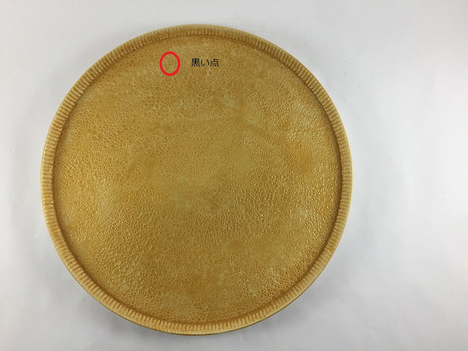 【SALE】245e-plate　白金泡　25cm　有田焼